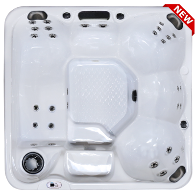 Hawaiian Plus PPZ-628L hot tubs for sale in hot tubs spas for sale Kennewick