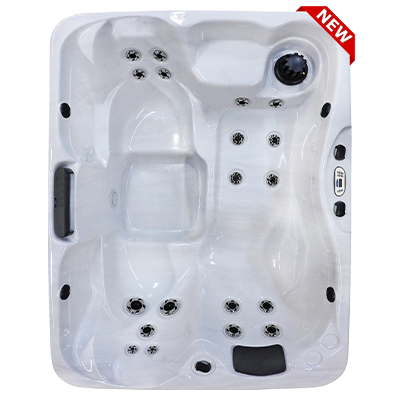 Kona PZ-519L hot tubs for sale in hot tubs spas for sale Kennewick